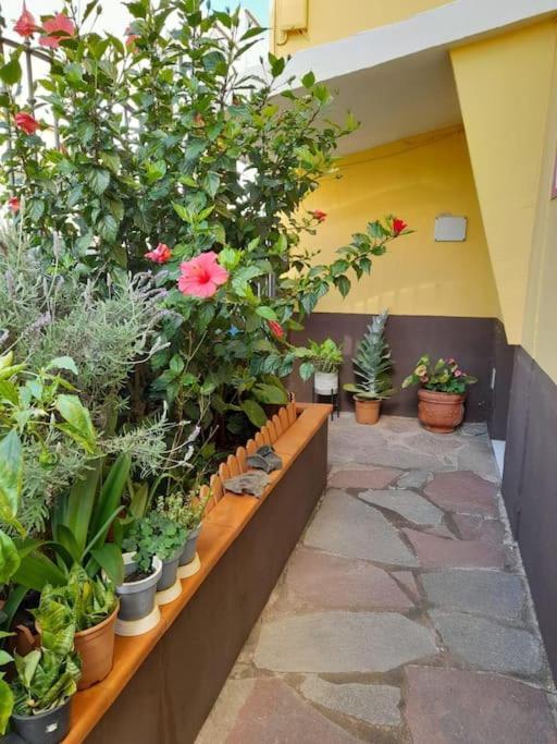 El Rincon De Nina Villa La Laguna  Dış mekan fotoğraf